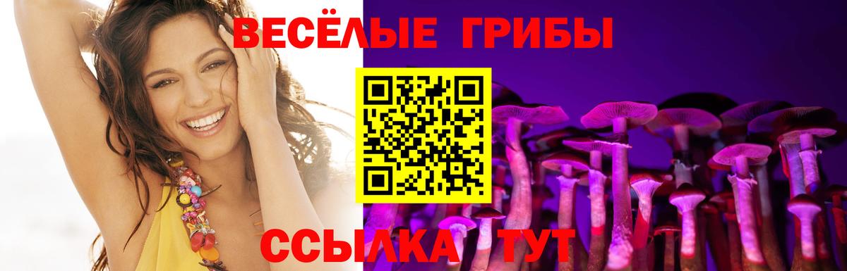 Галлюциногенные грибы мицелий  Вход с VPN  Унеча 